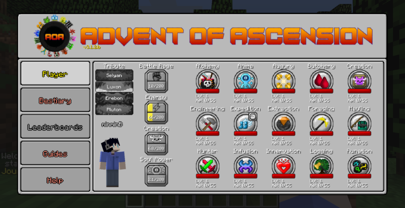 Advent Of Ascension 全スキルの効果とレベルの上げ方 Minecraft 1 12 2 Minbのブログ部屋
